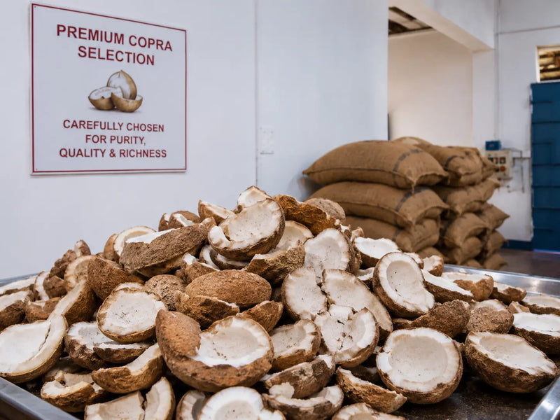 Premium Copra (coconut kernal) Selection